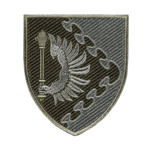 Шеврон Повітряне командування СХІД польовий