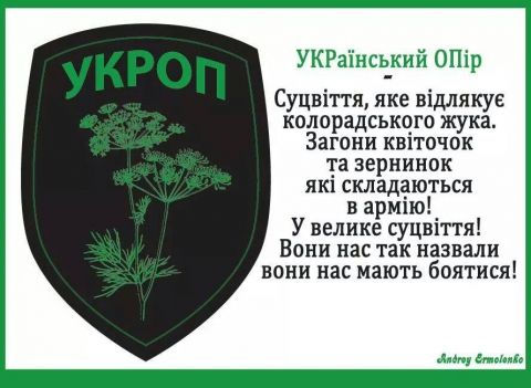 Нашивка Укроп жовтий на синем 115х85мм