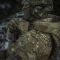 M-Tac Горжет Sturm з балістичними пакетами 1 клас (FMS) Multicam