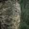 M-Tac шорти Aggressor Short MM14