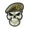 Нашивка Череп у береті (ГУР МО)