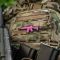 M-Tac нашивка M4A1 3D PVC Pink