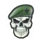Нашивка Череп у береті (ДПСУ)