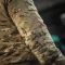 M-Tac куртка MA-1 Hooded Military Primaloft MC
