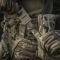 M-Tac Балістичний захист паху Groin Protection 1 клас захисту Multicam
