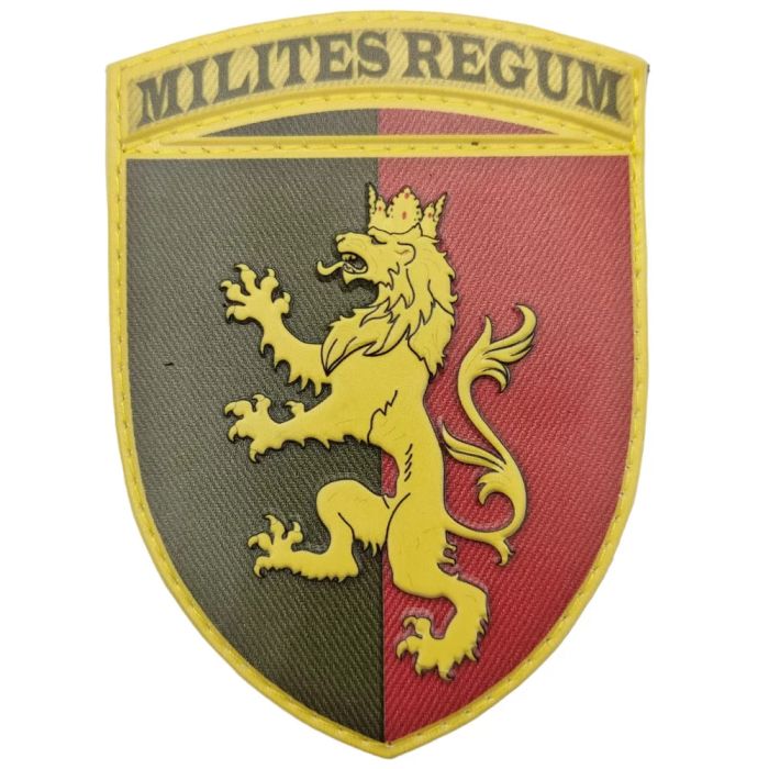 Шеврон ПВХ ЗСУ 24 окрема механізована бригада імені короля Данила об'ємний