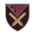 Шеврон Житомирська 148 ОГСАД ДШВ кольоровий