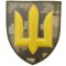 Шеврон ПВХ ЗСУ Загальновійськовий сухопутних військ піксель