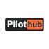 Нашивка Pilothub PVC