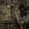 M-Tac чохол бронежилета Sturm Elite Multicam