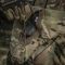M-Tac Балістичний захист паху Groin Protection 1 клас захисту Multicam