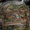 M-Tac нашивка Tiger (вишивка) Multicam/Coyote/Green